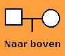 Naar boven